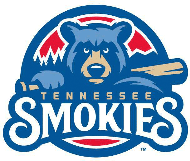 Tennessee Smokies 2015-Pres Primary Logo iron on transfers for T-shirts